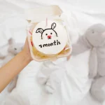 qu'est ce qu'un bento cake