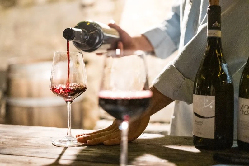 apprendre les bases du vin avec un cours d’œnologie